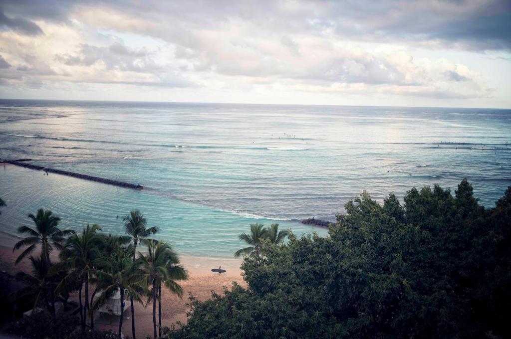 檀香山ESPACIO THE JEWEL OF WAIKIKI的享有棕榈树海滩和大海的景色