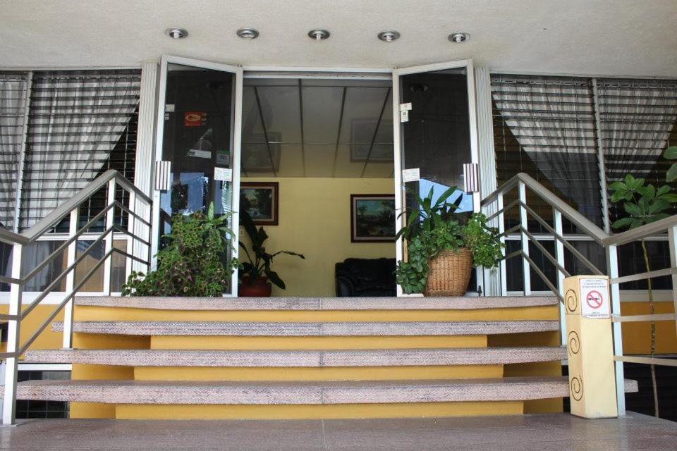 科利马Hotel Dinastía Colima的一座种植盆栽植物的建筑前的楼梯
