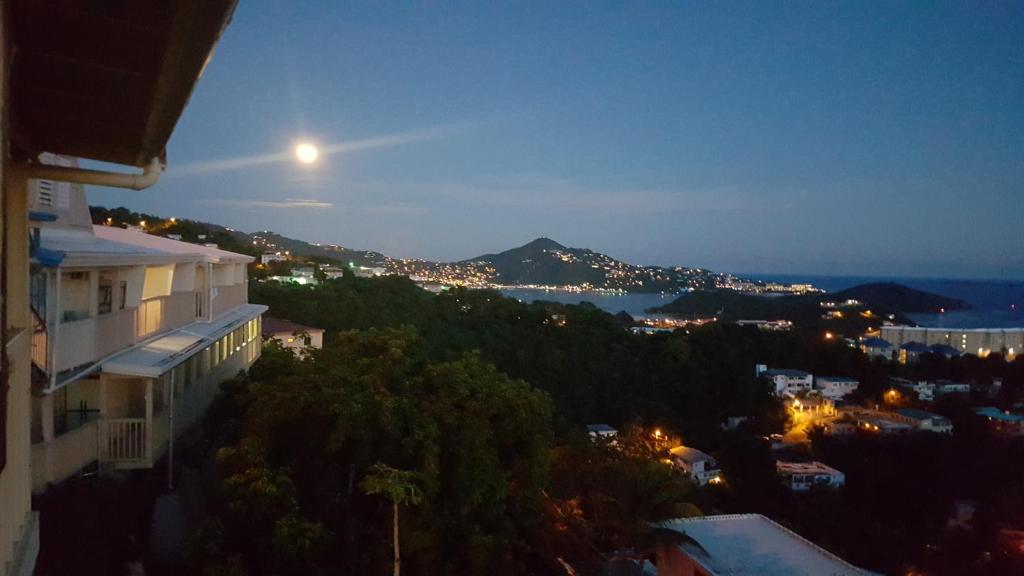 夏洛特阿马利亚日落花园旅馆的夜晚城市与月亮的景观