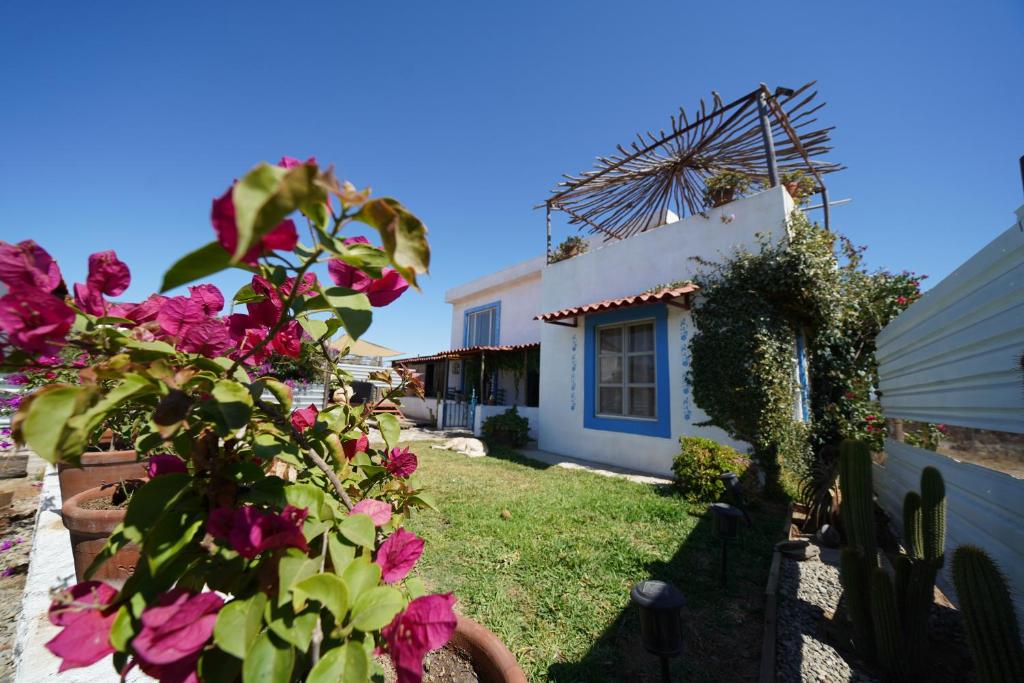 瓜达鲁佩镇Santerra, Valle de Guadalupe的院子里有粉红色花的房子