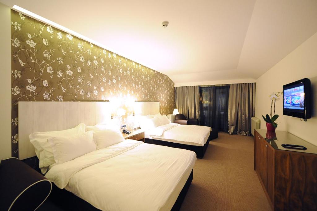 贝尔格莱德1000卢瑟酒店的一间酒店客房,设有两张床和电视