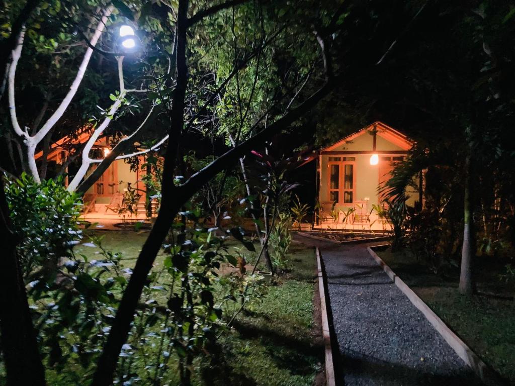 达瓦拉维suncity privacy cottages的夜晚在树林里的一个小屋