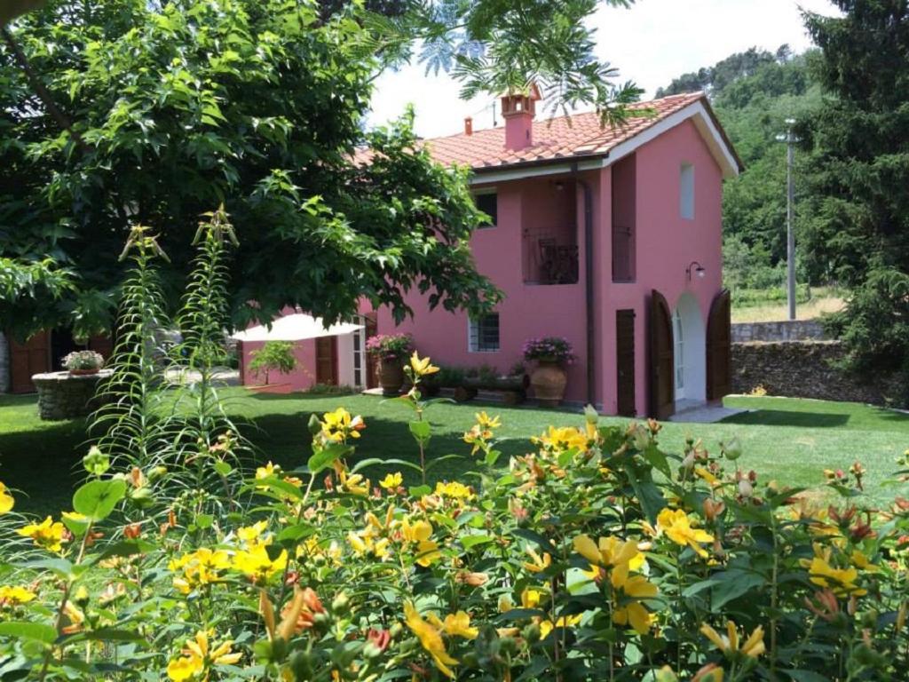 皮斯托亚特拉洛萨农家乐的前面有黄色花的粉红色房子