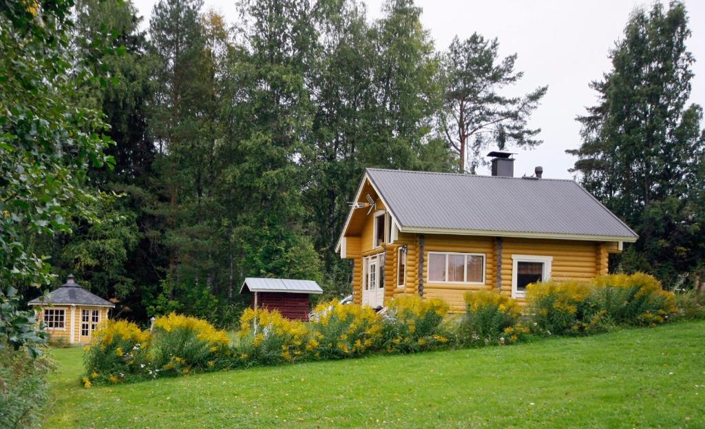 哈提图维特山林小屋外面的花园