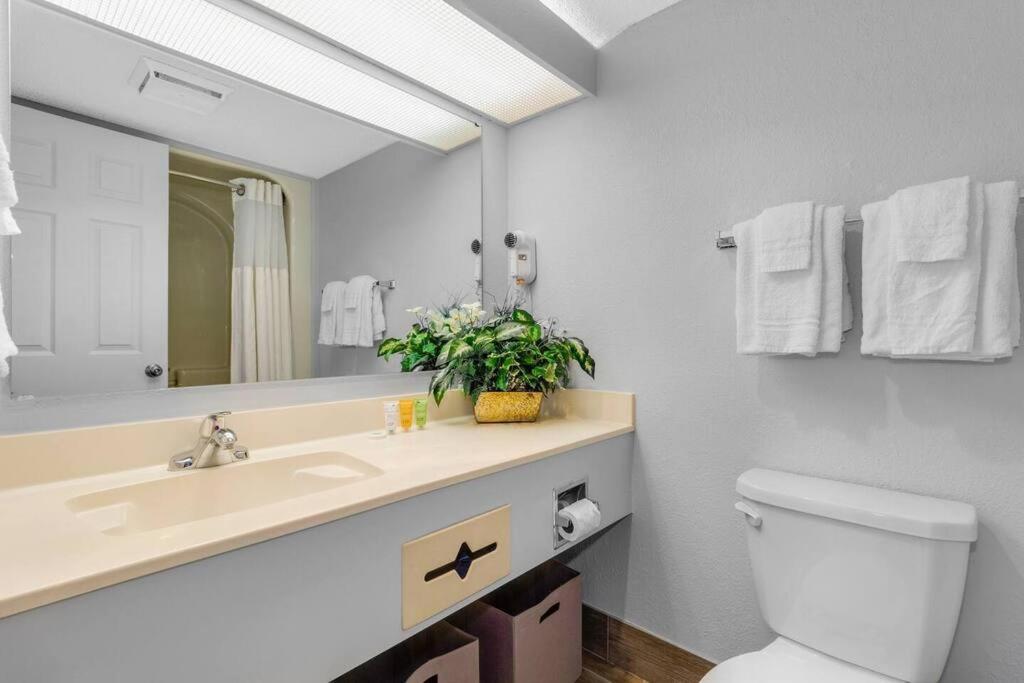 Captivating Coastal Charm - Oceanview Suite! PG 504的一间浴室