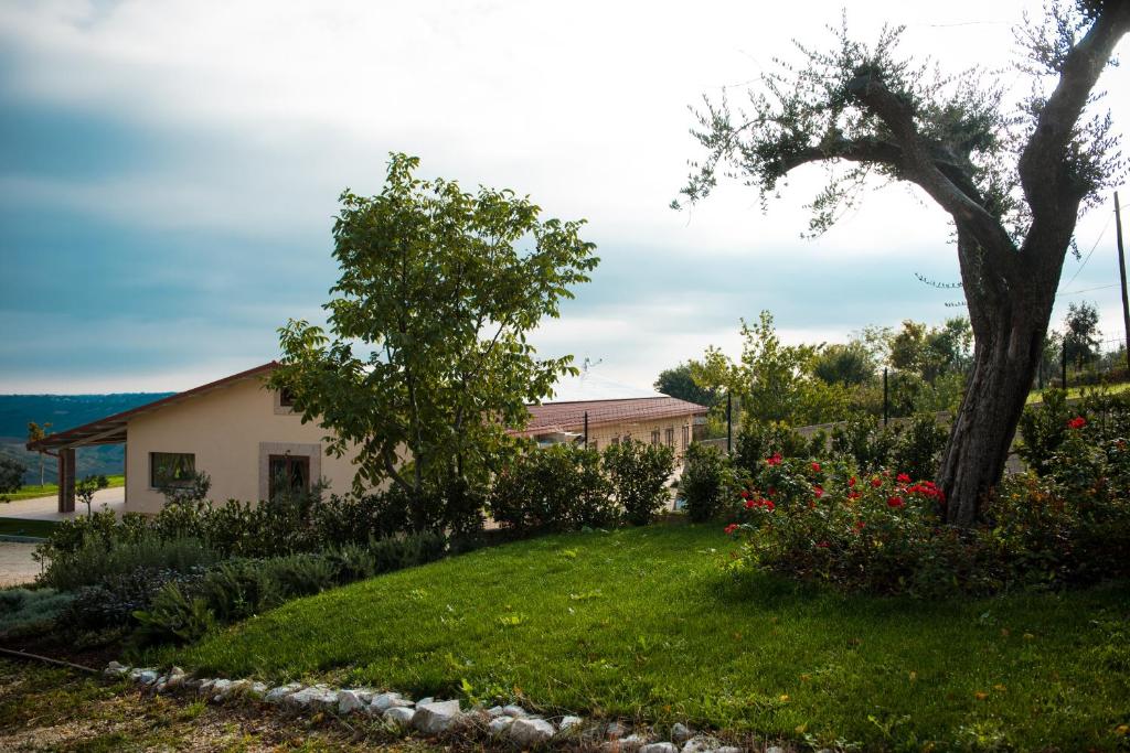 瓜尔迪亚格雷莱Agriturismo Colle Tripio的一座有树和房子的院子