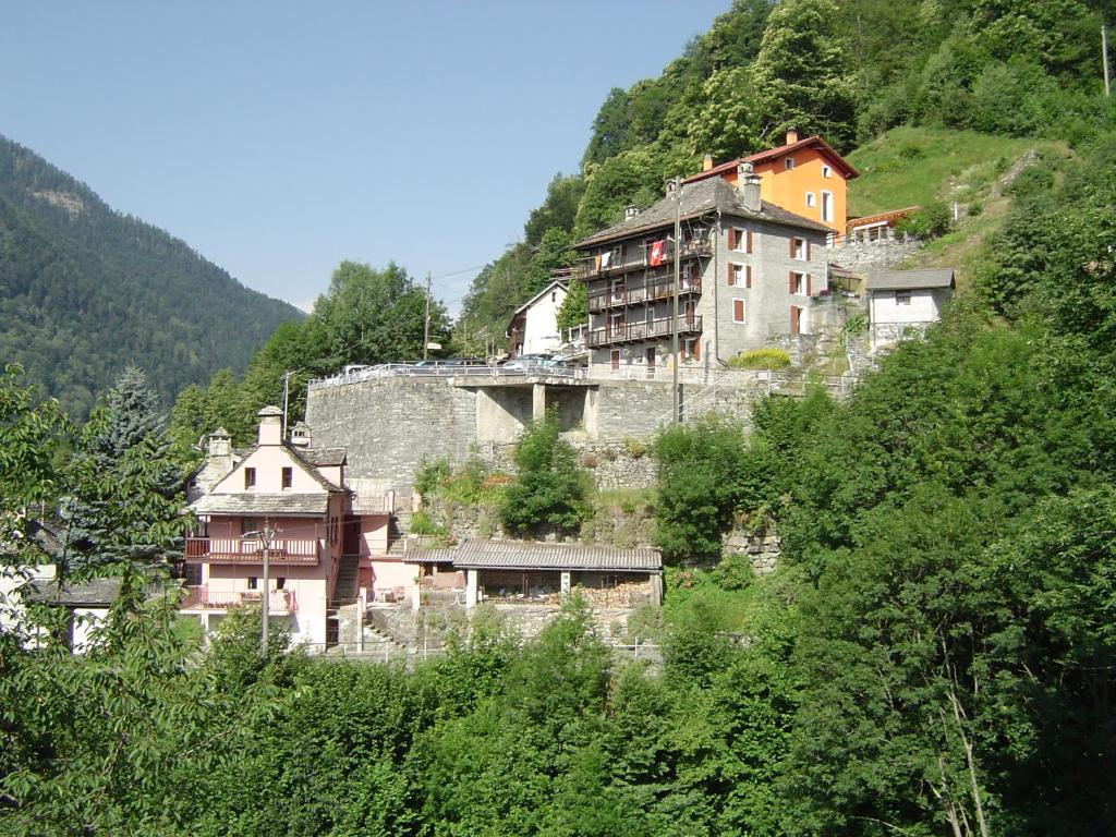 Crana阿拉克鲁斯住宿加早餐旅馆的山丘上树木繁茂的一群建筑