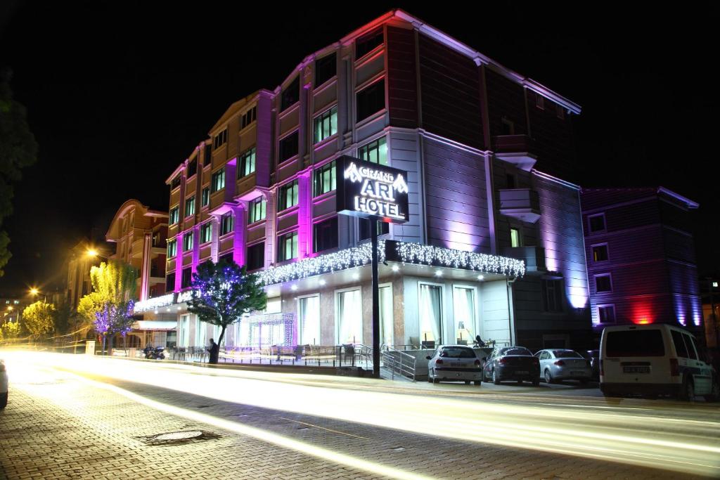 阿菲永Afyon Grand Ari Hotel的城市街道上晚上有紫色灯光的建筑