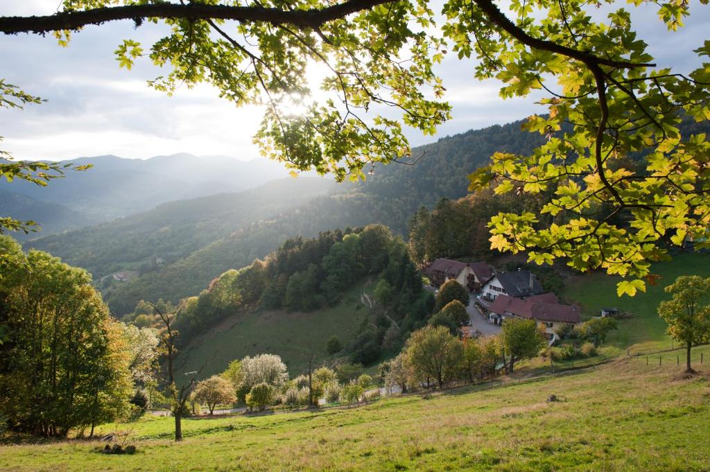 圣阿玛尼米尔巴舍尔客栈的享有山谷的树木和房屋美景。