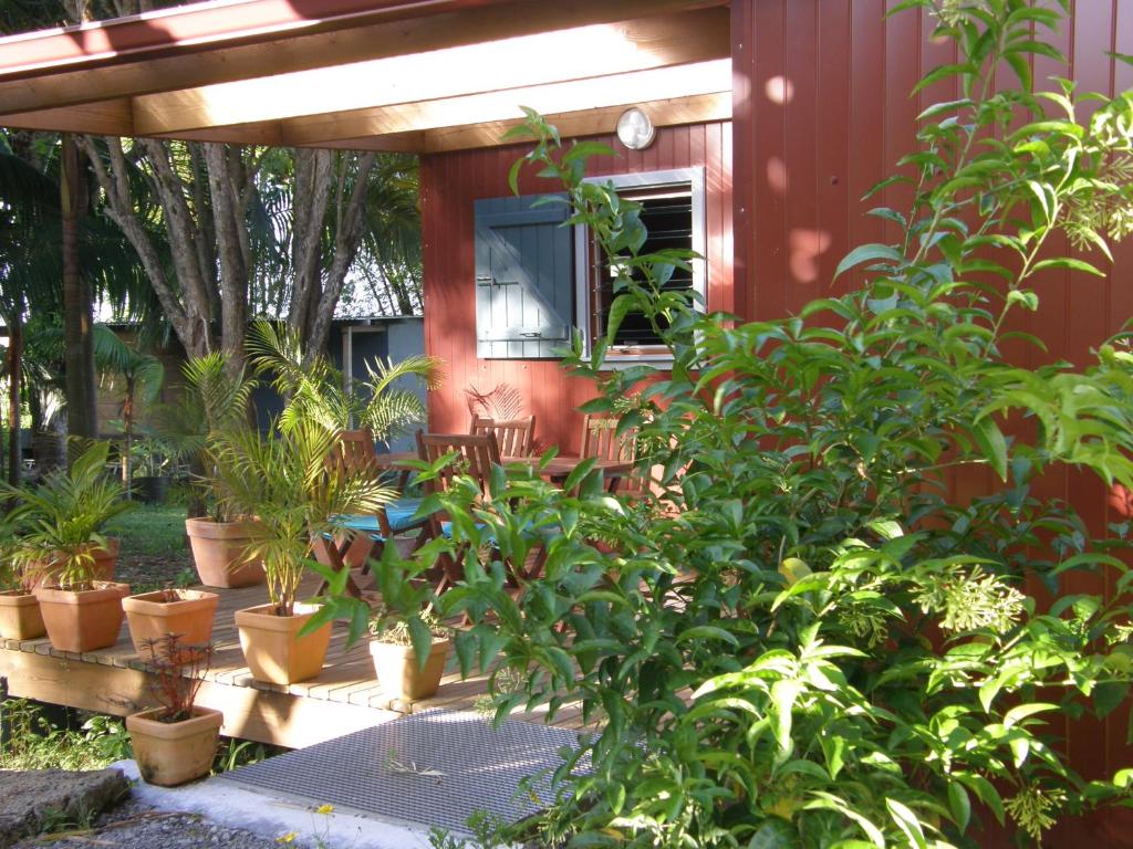 圣罗斯塔卡纳苏克度假屋的一群盆栽植物在红房子前