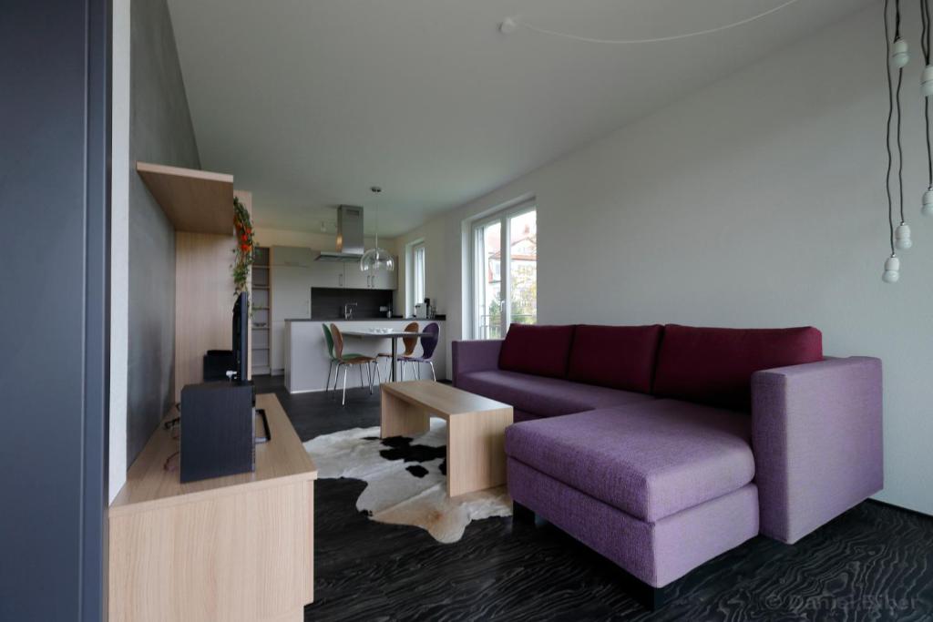 恩根赫温公寓的一间带紫色沙发的客厅和一间厨房