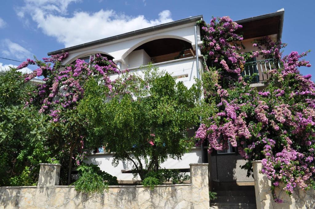 帕科坦Apartments Petar Maksan的花朵边的建筑