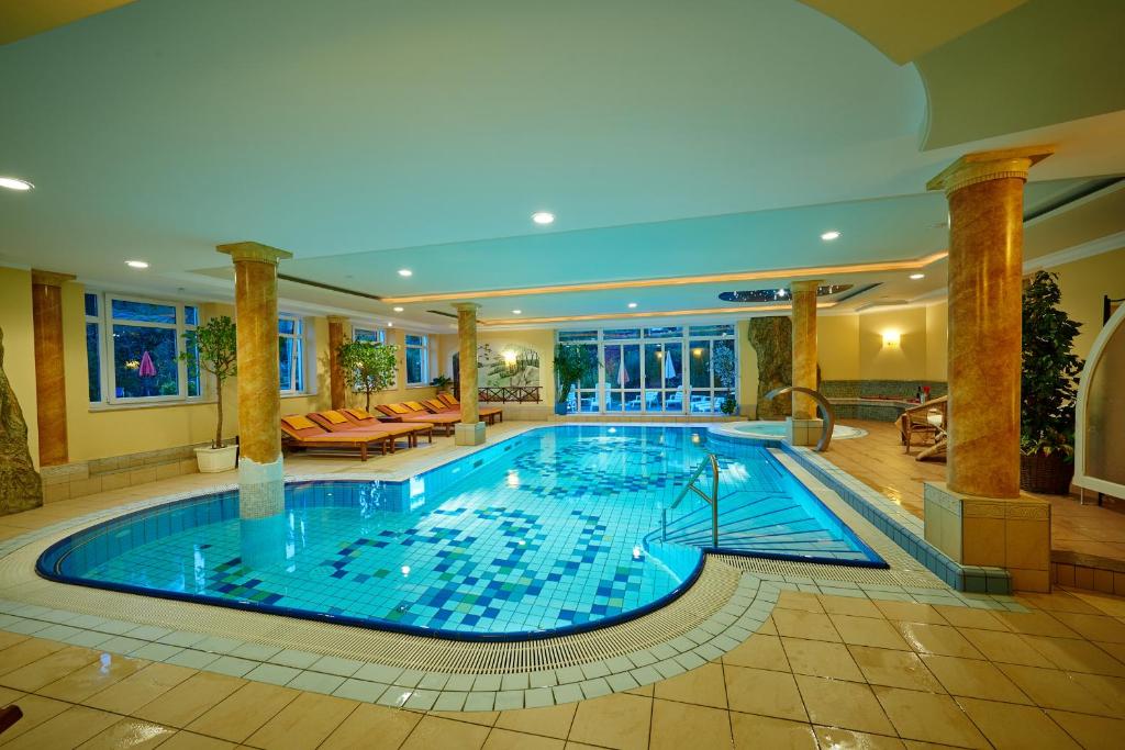拜尔里舍艾森施泰恩Hotel Brunnenhof的大型客房的大型游泳池