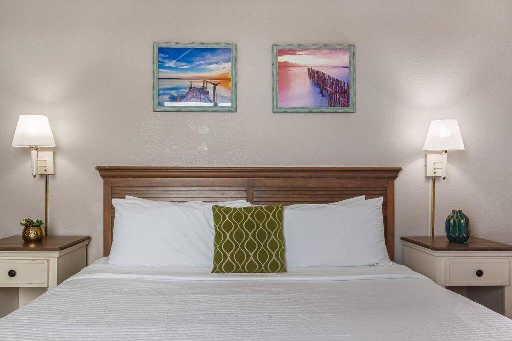 默特尔比奇Wake Up to the Waves! Oceanview, Dogs Ok! 1638的一间卧室配有一张床、两个床头柜和两盏灯。