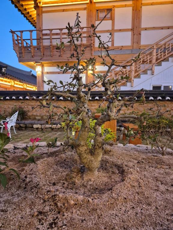 Hanok Stay Seowa外面的花园