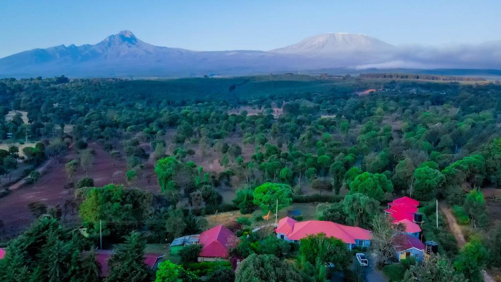 Oloitokitok Kilimanjaro Loitokitok Resort的山林中房屋的空中景观