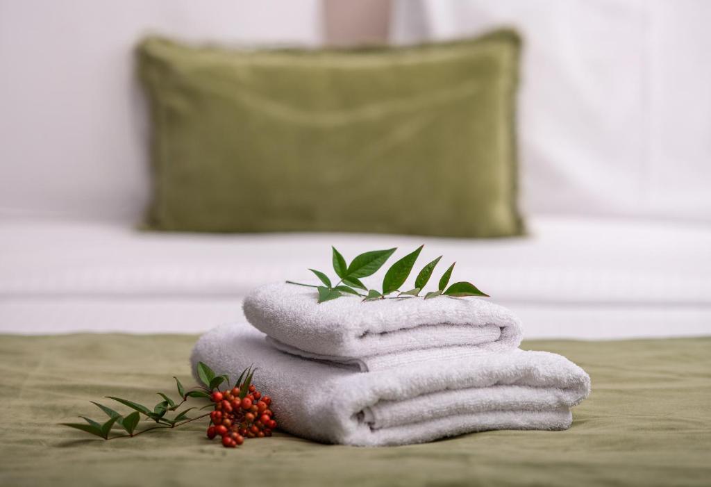 Evora Luxury Suites平面图