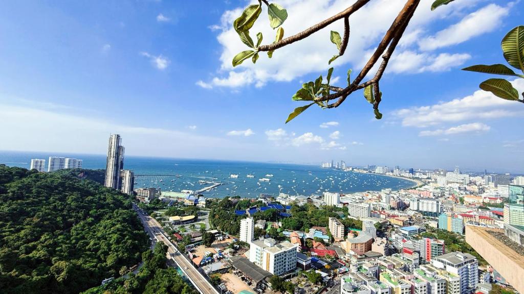 南芭堤雅unixx seaview hotel的从树上欣赏到城市美景