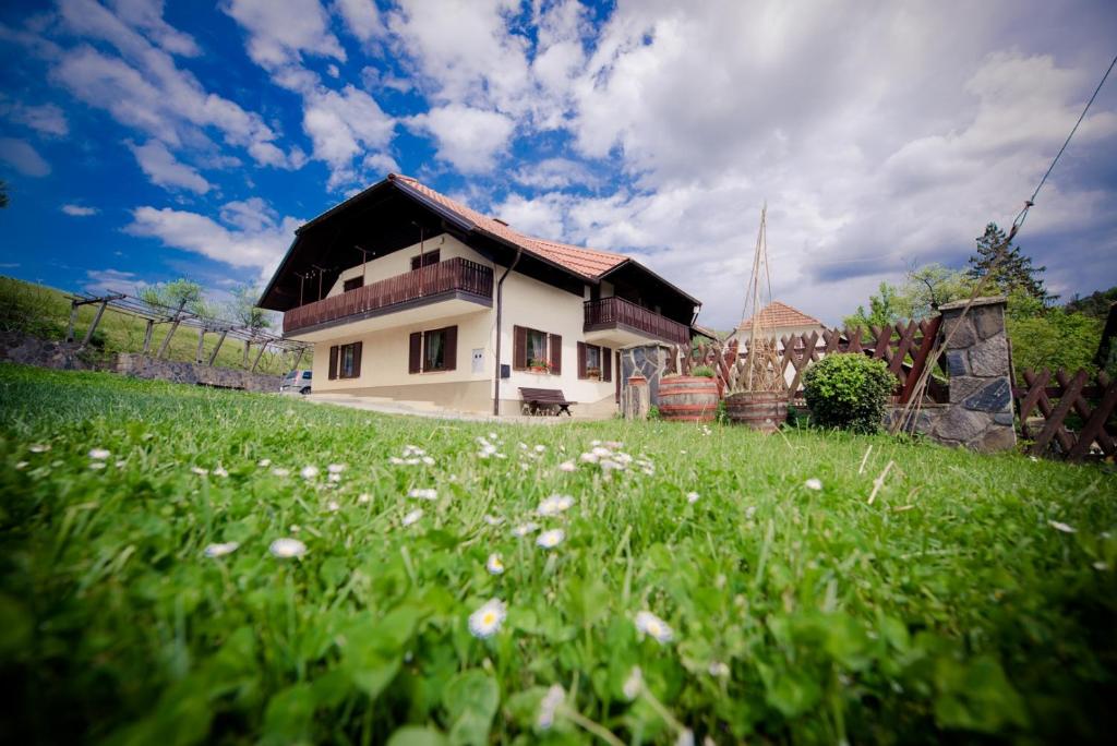 莫济列Farm Stay Žagar的山坡上草场的房子