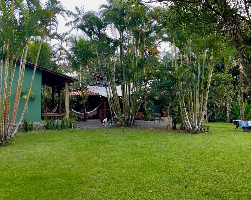 Casa Park外面的花园