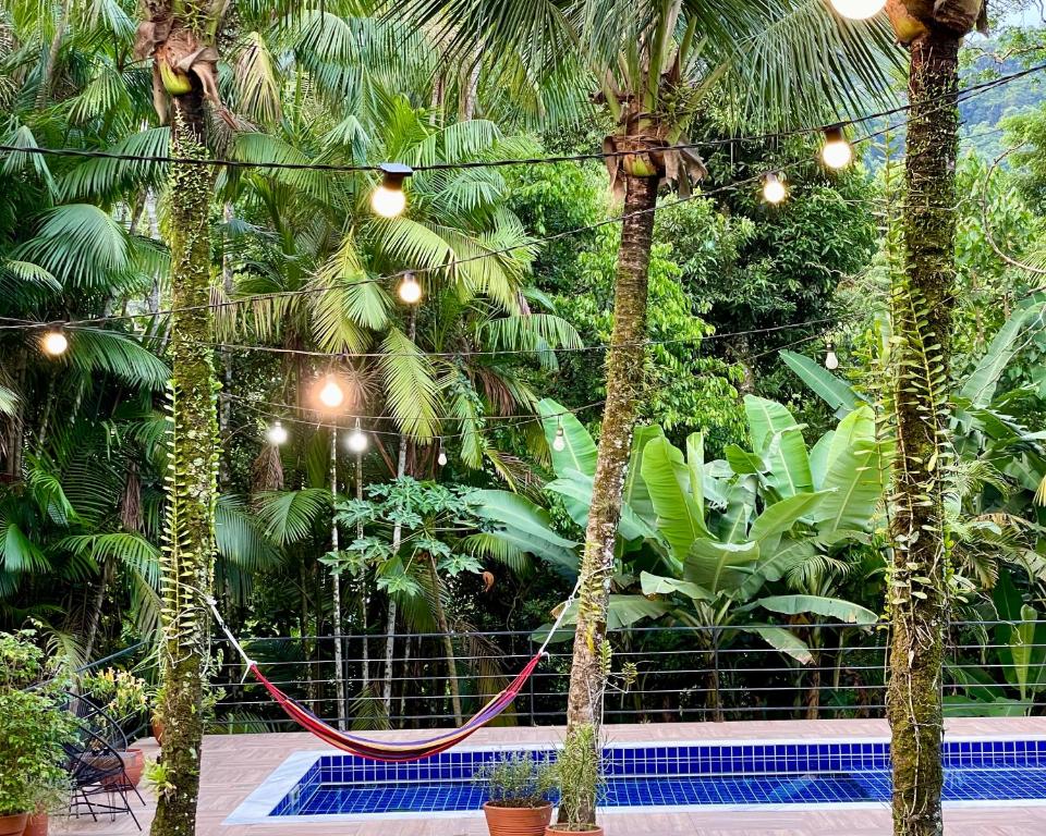 Casa Park外面的花园