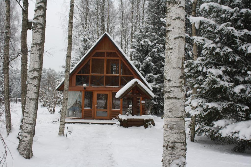 UpesgrīvaHoliday Home Bērzlejas的雪中树林里的小木屋
