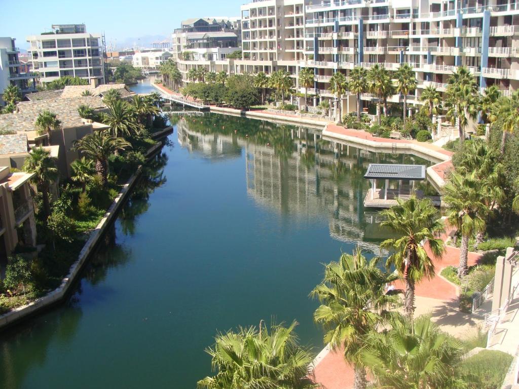 开普敦海滨地区凯尔莫尔A202公寓的棕榈树和建筑城市中的河流