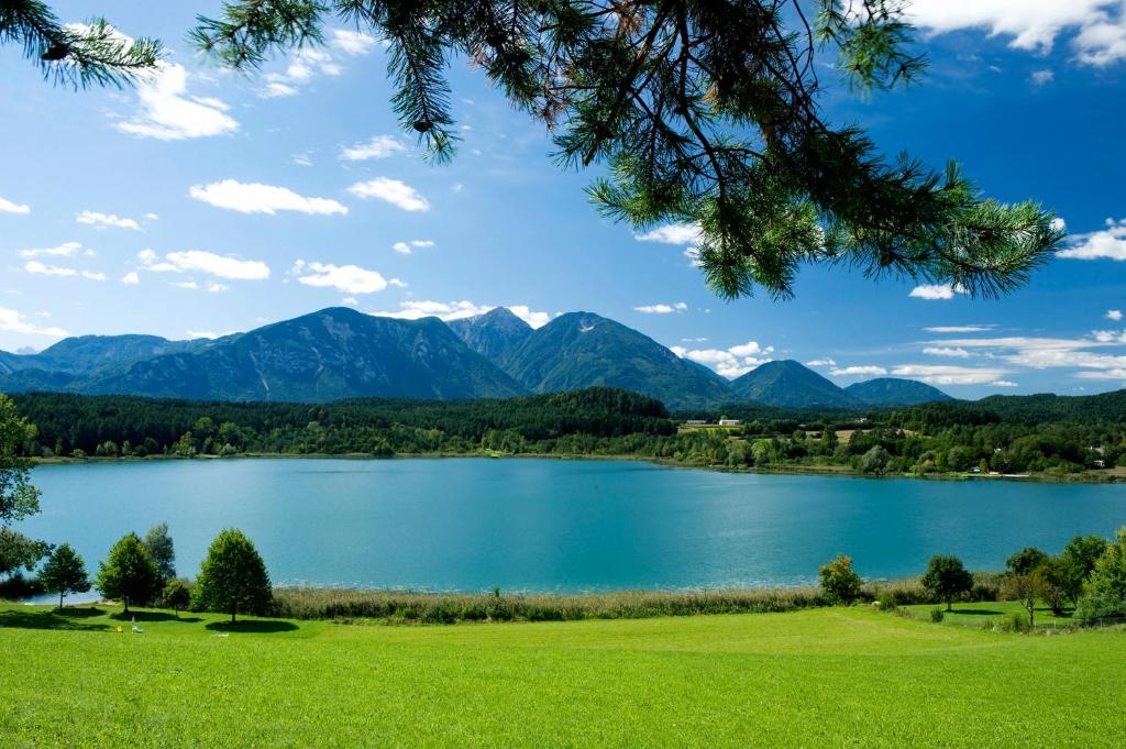 Feistritz im RosentalGasthaus Stefaner的享有以山脉为背景的湖泊美景