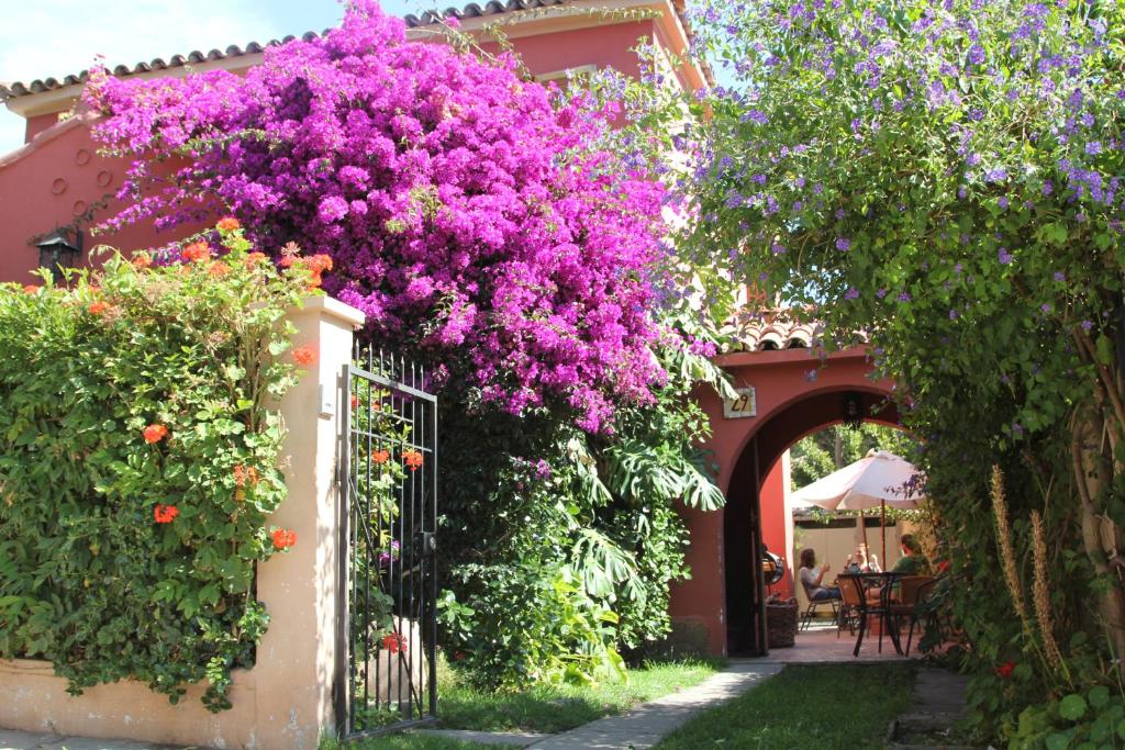 拉塞雷纳El Arbol Hostel的挂在栅栏上的一束紫色花