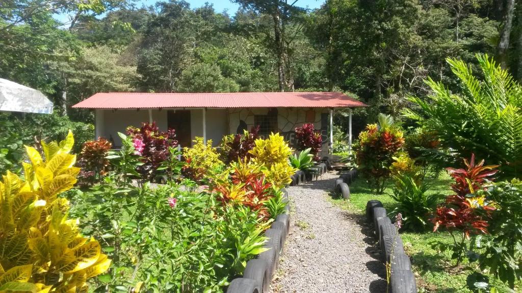 比加瓜Nacientes Lodge的一座小建筑前种有鲜花的花园