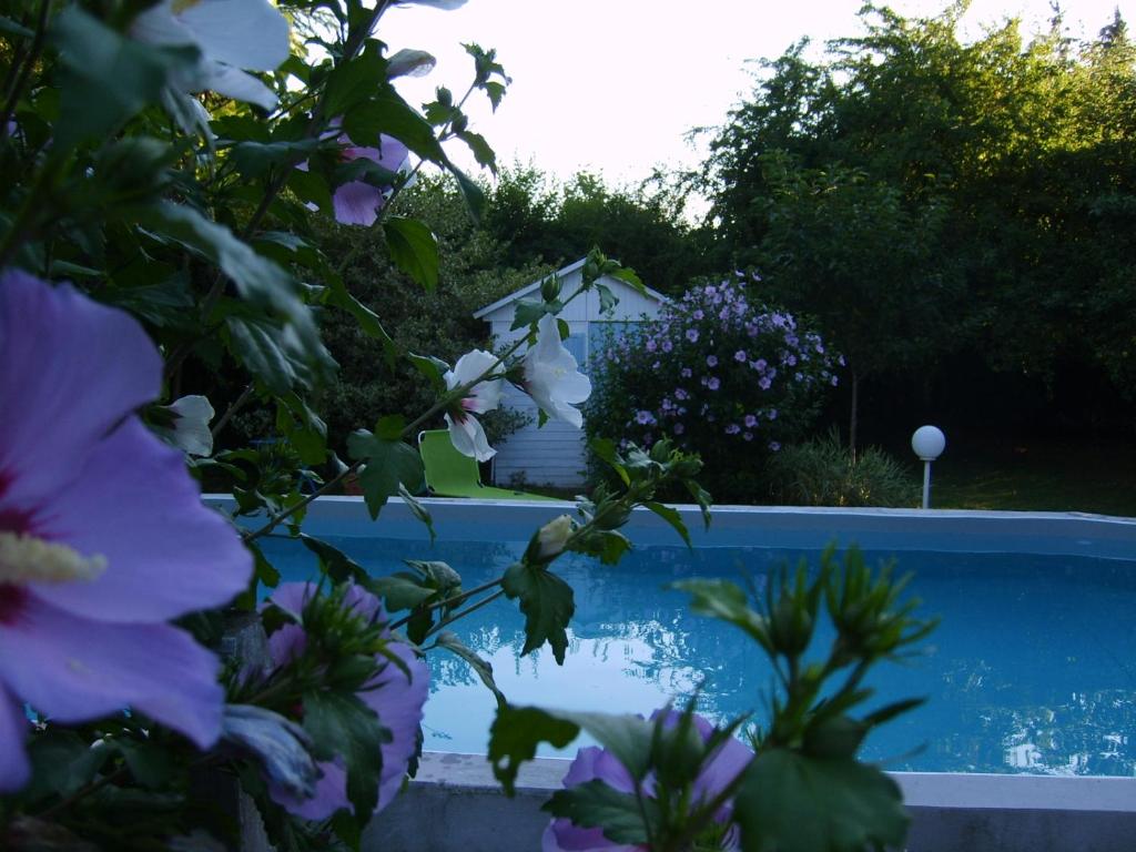 Saint-Étienne-de-Saint-Geoirs托迪耶尔农场酒店的一座带紫色花卉的游泳池和一座位于后面的房子