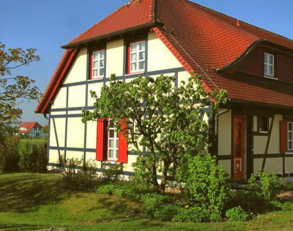 德兰斯克Ferienwohnung Bakenberg auf Rügen (So)的白色和红色的房子,前面有一棵树