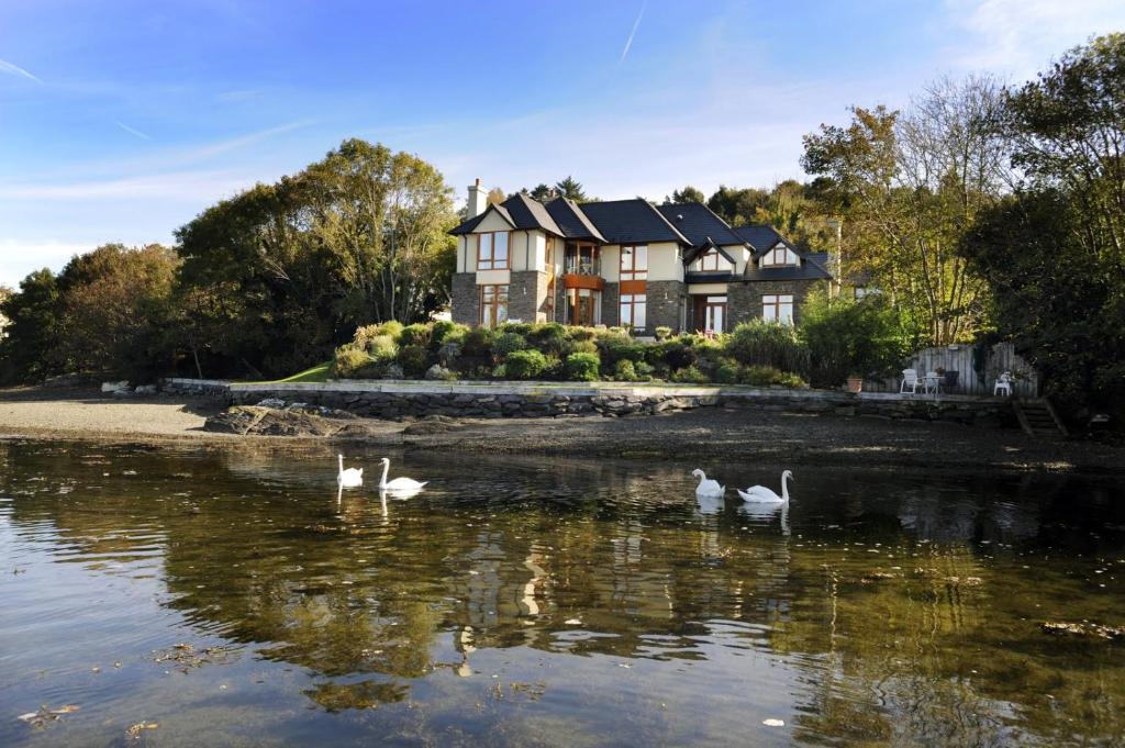 班特里Seafort Luxury Hideaway的水面上有一排天鹅的房子