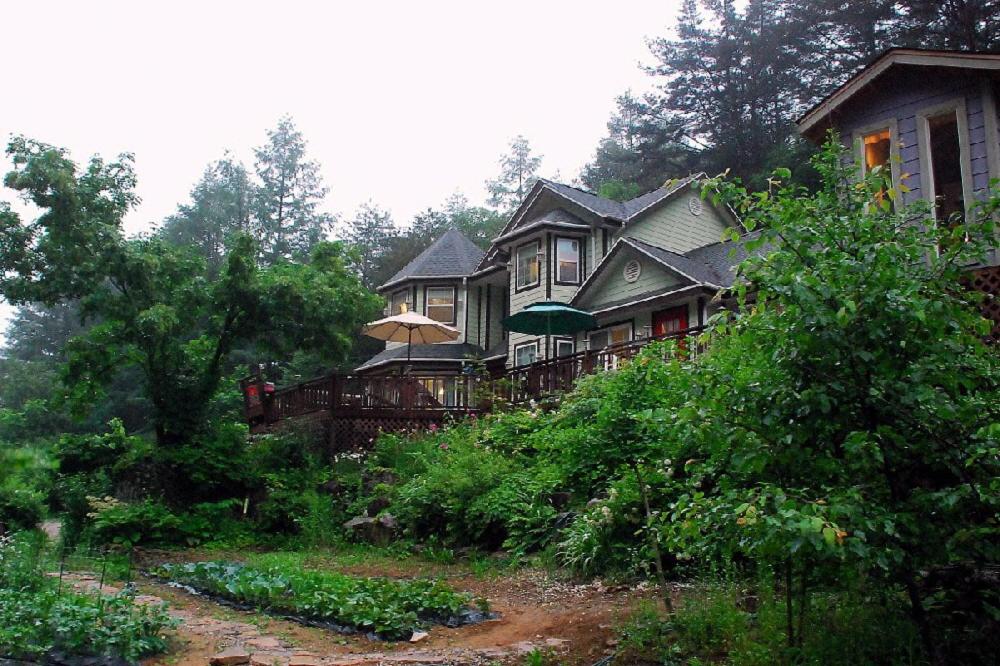 平昌菲尔玛塔度假屋的树林中一座小山上的大房子