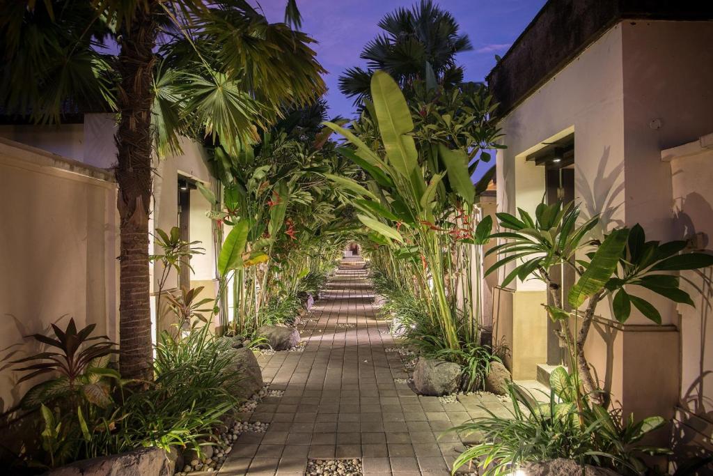 塞米亚克图卡德别墅酒店的两栋棕榈树建筑之间的人行道