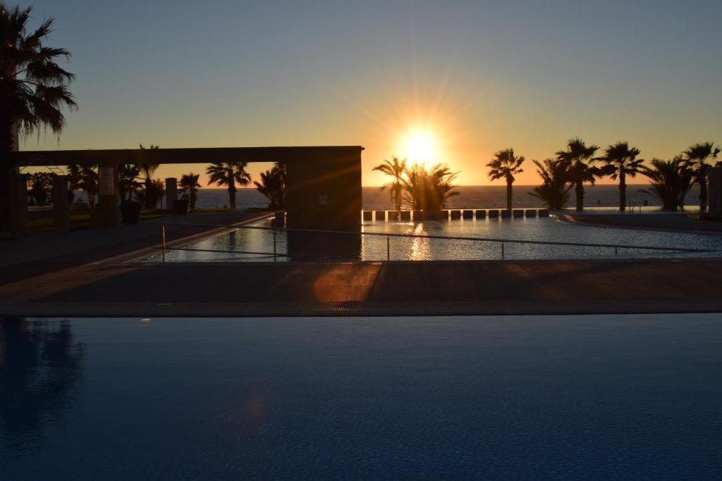 帕福斯首都海岸度假村的棕榈树游泳池的日落