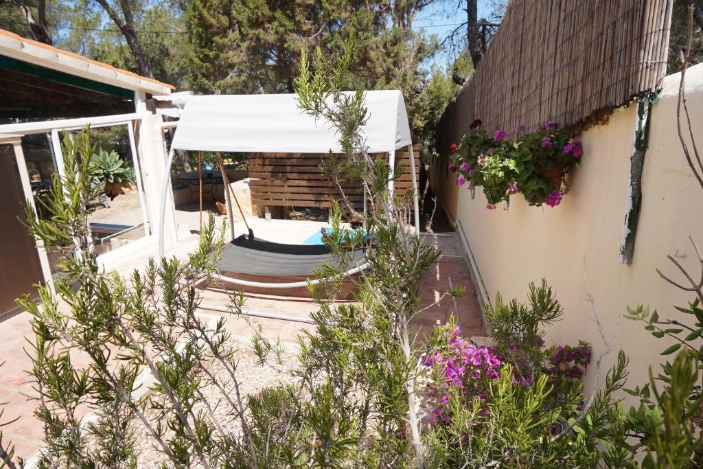 埃斯卡洛Casa la Paloma的一个带白色天篷和游泳池的庭院