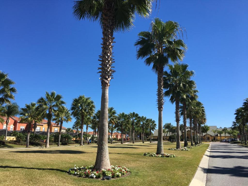 奥兰多DWS度假屋的公园里的一排棕榈树和鲜花