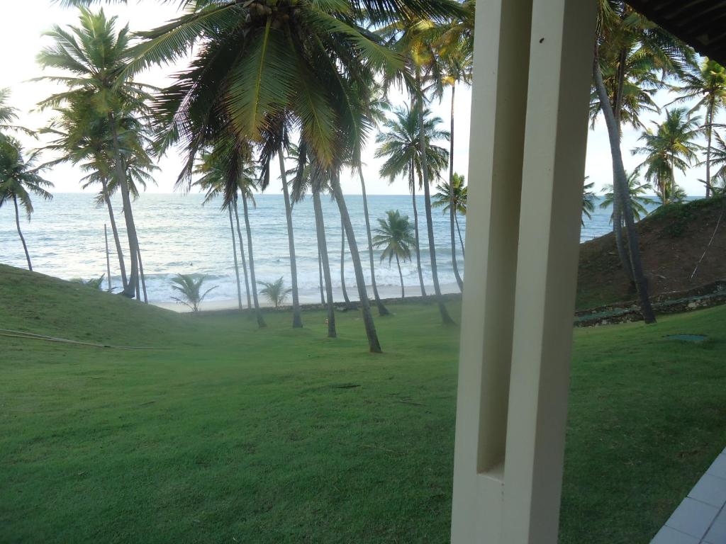 雅克南Ekoara Bangalos的享有大海和棕榈树美景。