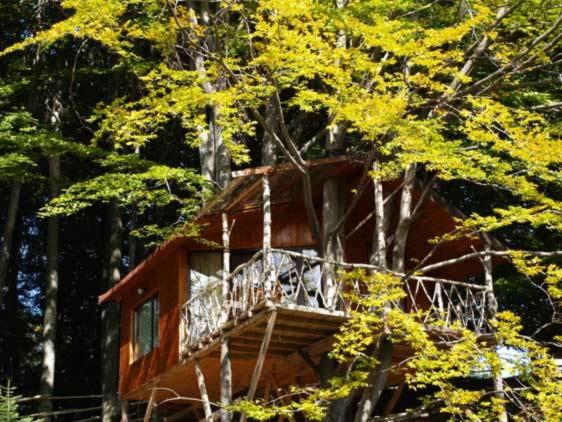 Harmonie Tree house Cotagges Chalet Predeal Trei Brazi平面图