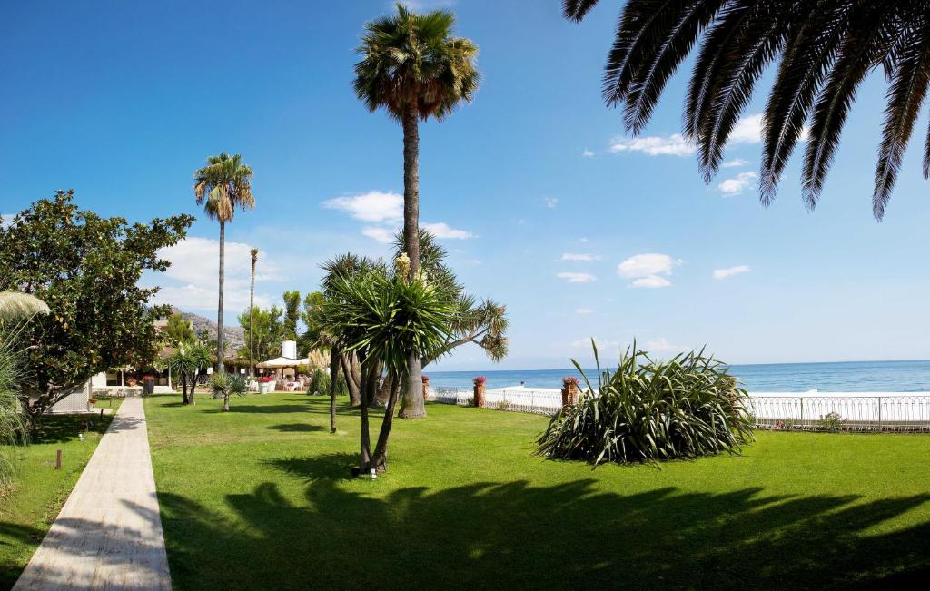 陶尔米纳卡帕莱纳酒店的海滩附近的公园里的棕榈树