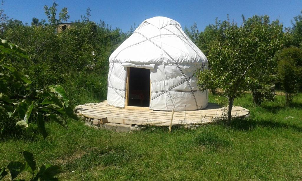 Grigor'yevkaBel-Zhan Yurt Lodge的草场上的白色的 ⁇ 蜥房屋