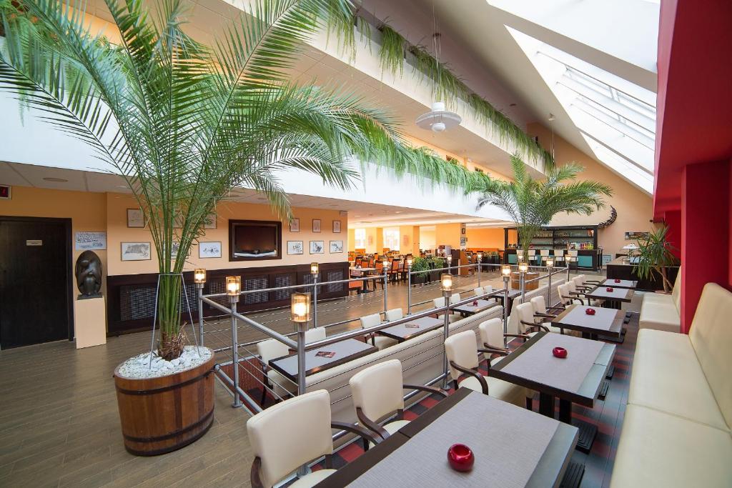 佐洛卡罗斯Art Hotel superior的一间设有桌椅的餐厅,种植了棕榈树