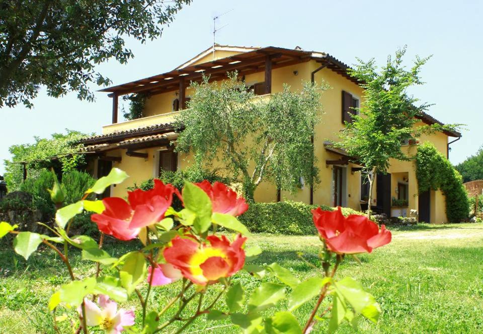 马萨马尔塔纳La Casa di Gelsomino的前面有红色花的黄色房子