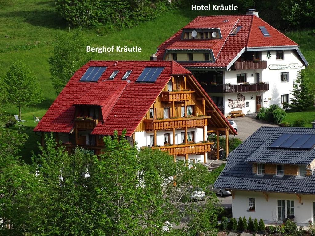 费尔德伯格Schwarzwald-Hotel Kraeutle的一组屋顶上设有太阳能电池板的房屋