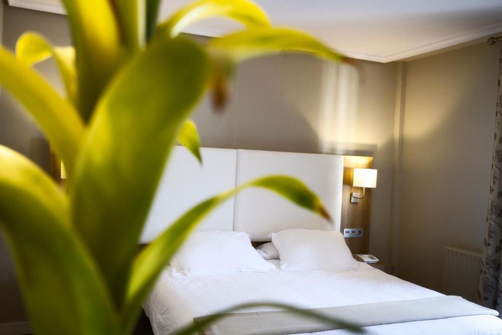 坎加斯-德奥尼斯洛斯拉格斯自然酒店的一间卧室配有白色床单和植物