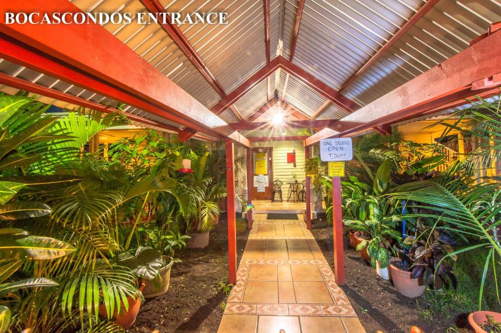 博卡斯德尔托罗AQUA POINT CONDOS RENTALs的建筑里种植植物的走廊