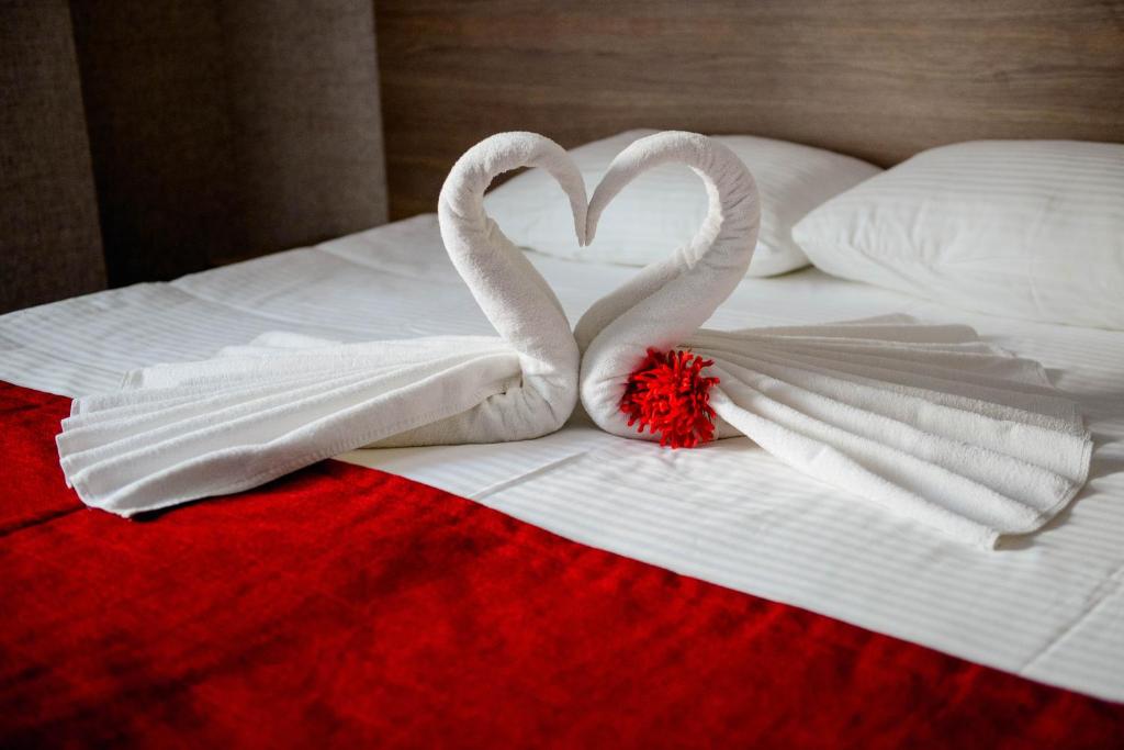 喀山阿隆酒店的两个天鹅,像床上的心一样
