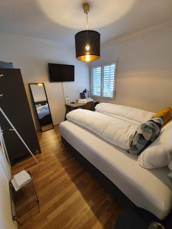 VilligenHotel zum Hirschen的一间卧室设有两张床、镜子和电视