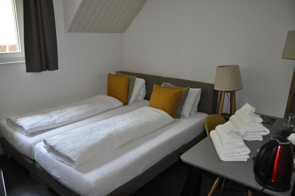 VilligenHotel zum Hirschen的客房内的沙发、枕头和桌子